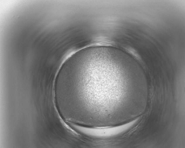 X0000054441471200508051846