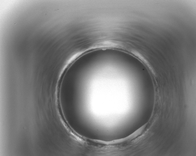 X0000054441477200508051846