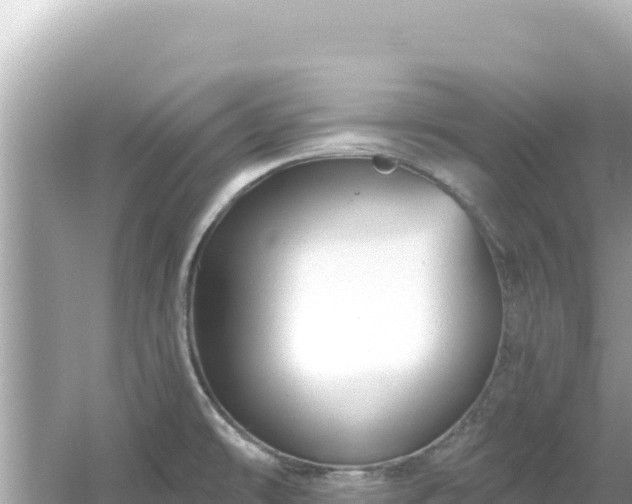 X0000054441478200508051846