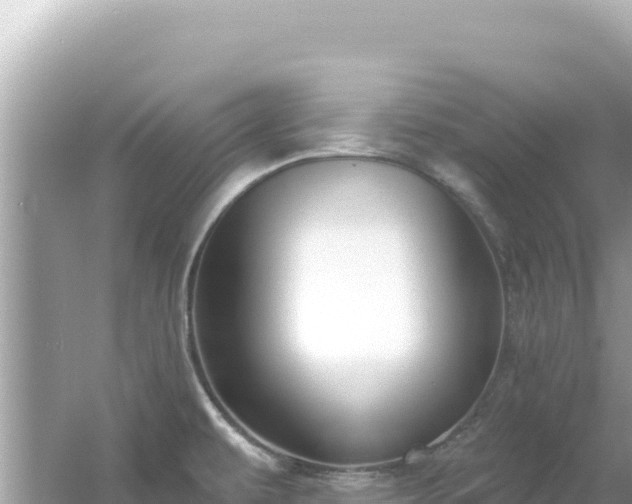 X0000054441479200508051846