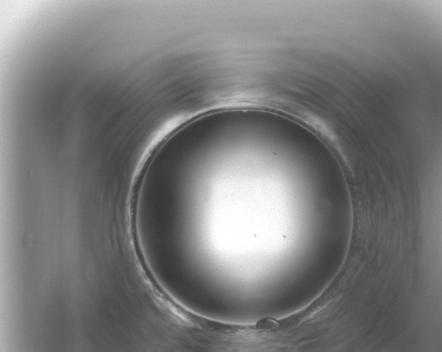 X0000054441480200508051846