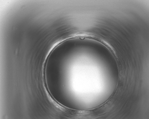 X0000054441483200508051846