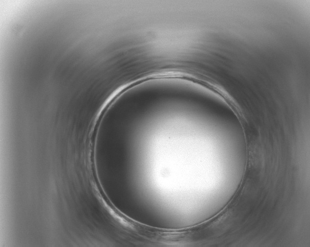 X0000054441484200508051846