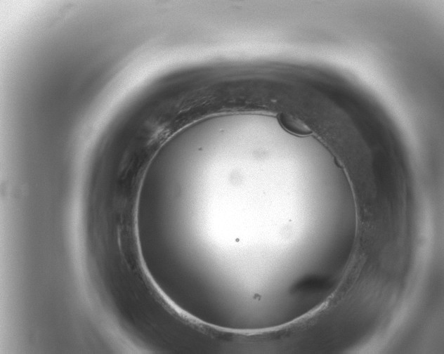 X0000054441487200508051846