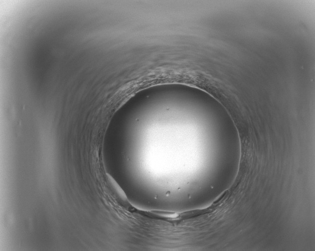 X0000054441489200508051845