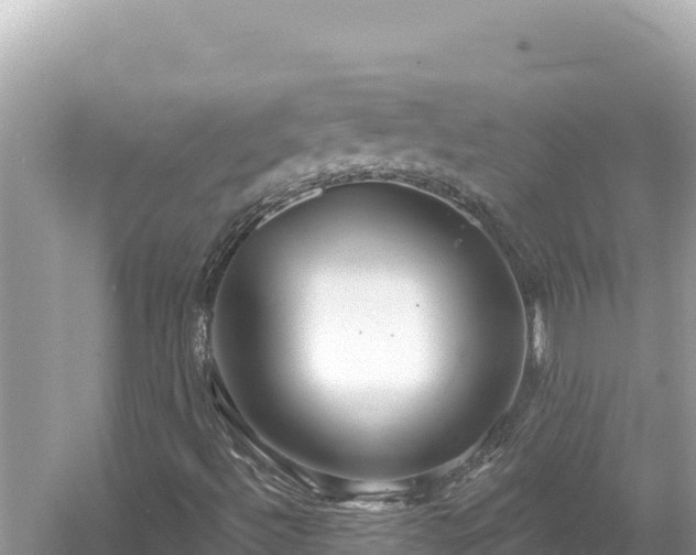 X0000054441492200508051845