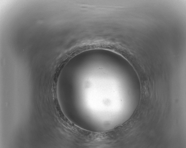 X0000054441493200508051845