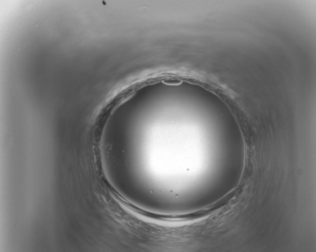 X0000054441496200508051845