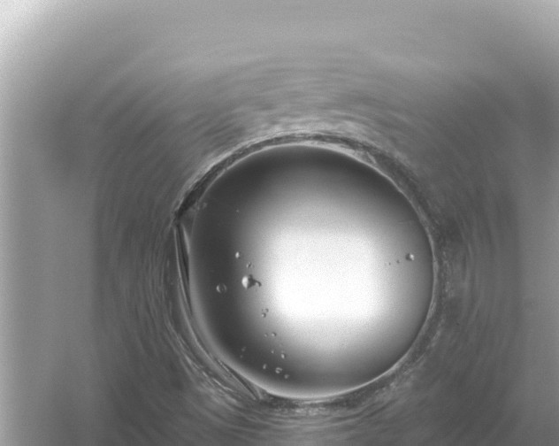 X0000054441497200508051845