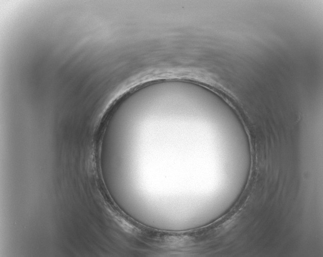 X0000054441498200508051845