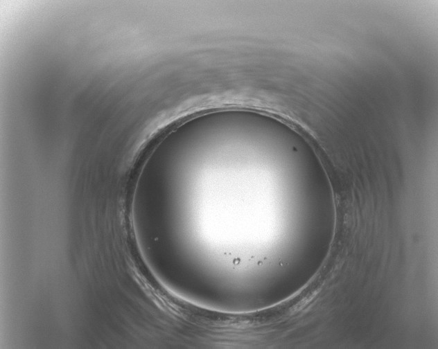 X0000054441499200508051845