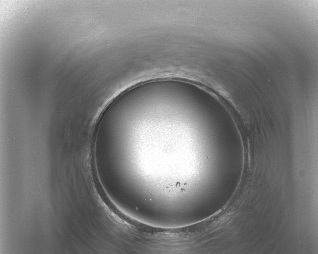 X0000054441500200508051845