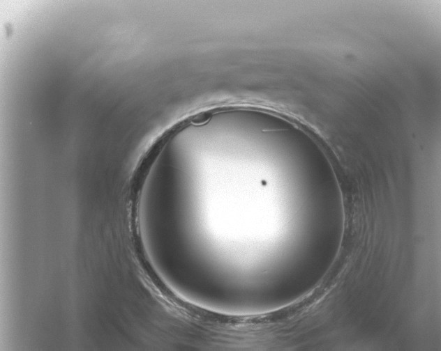 X0000054441503200508051845