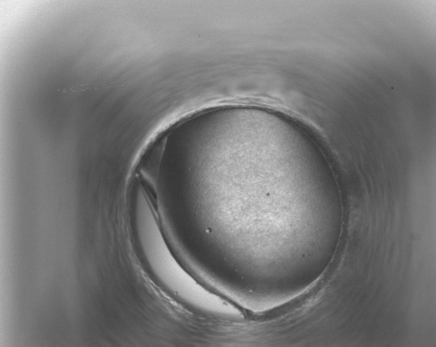 X0000054441506200508051845