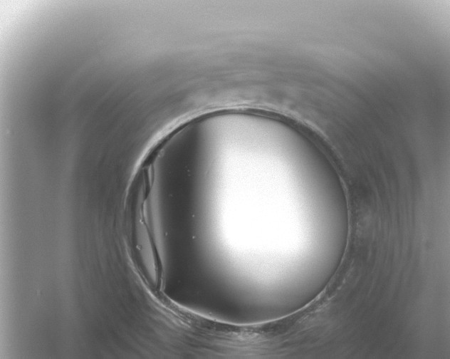 X0000054441509200508051845