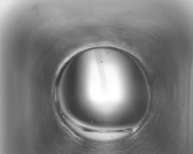 X0000054441510200508051845