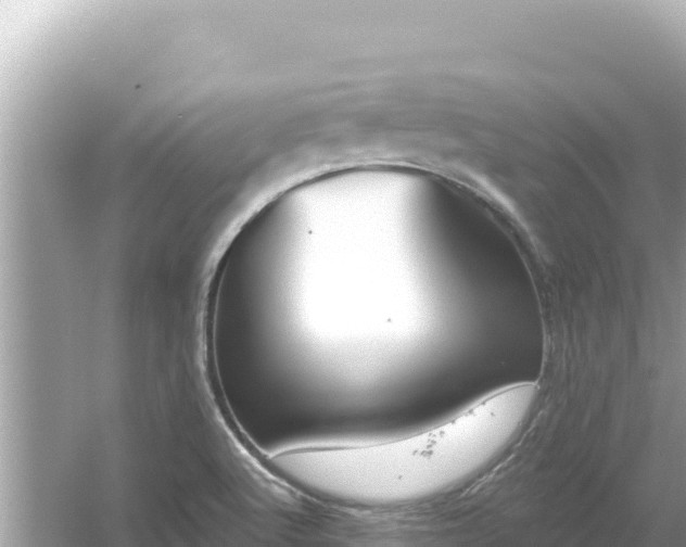 X0000054441512200508051845