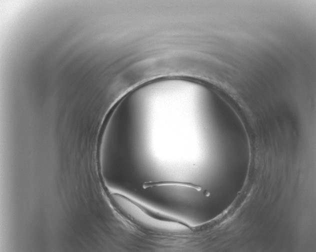 X0000054441513200508051845