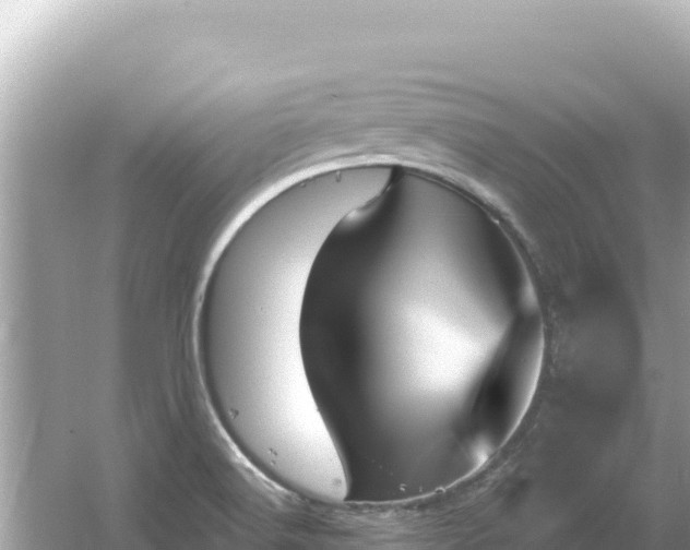 X0000054441516200508051845