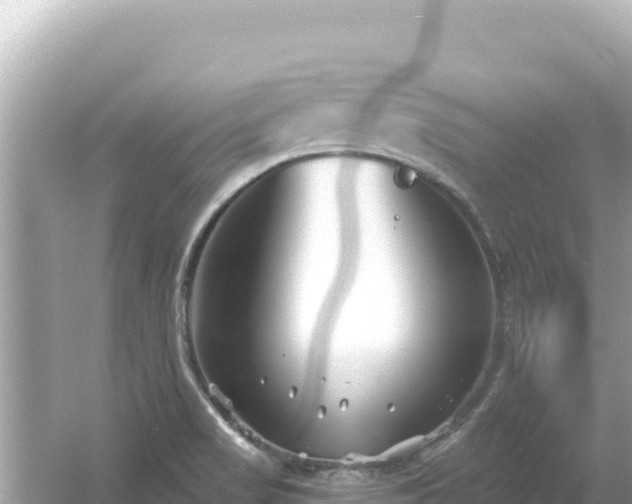 X0000054441517200508051845