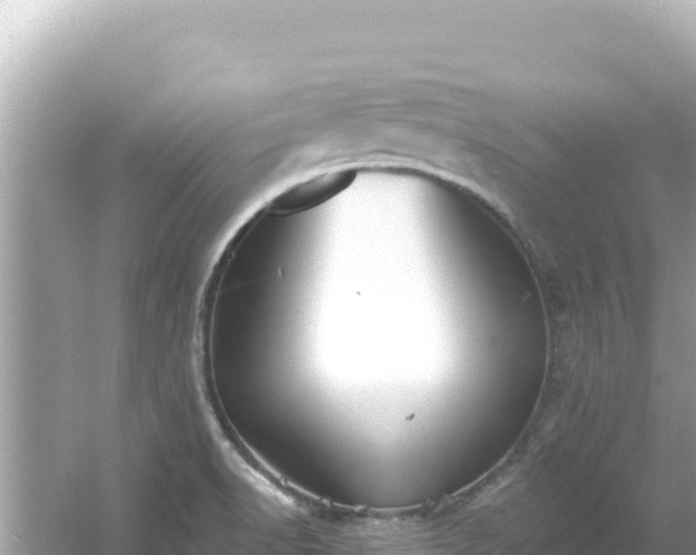 X0000054441518200508051845