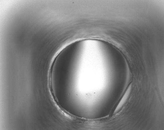 X0000054441520200508051845