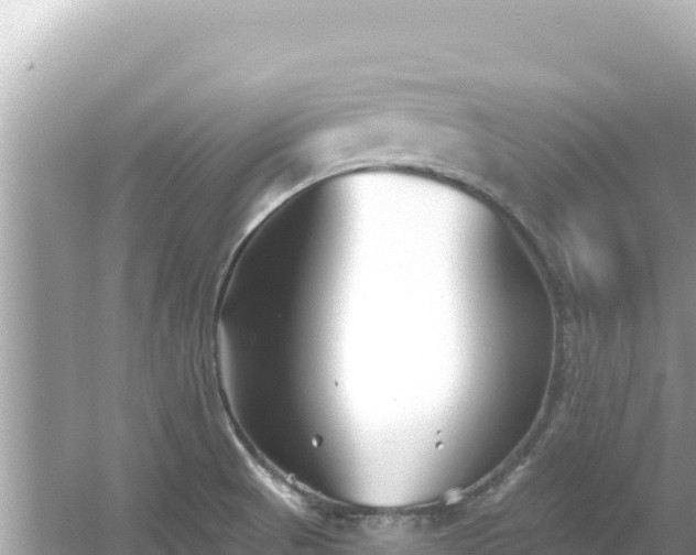 X0000054441521200508051845