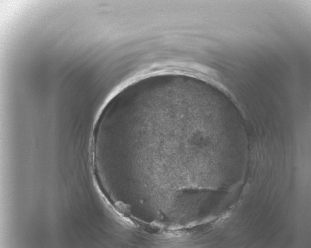 X0000054441522200508051845