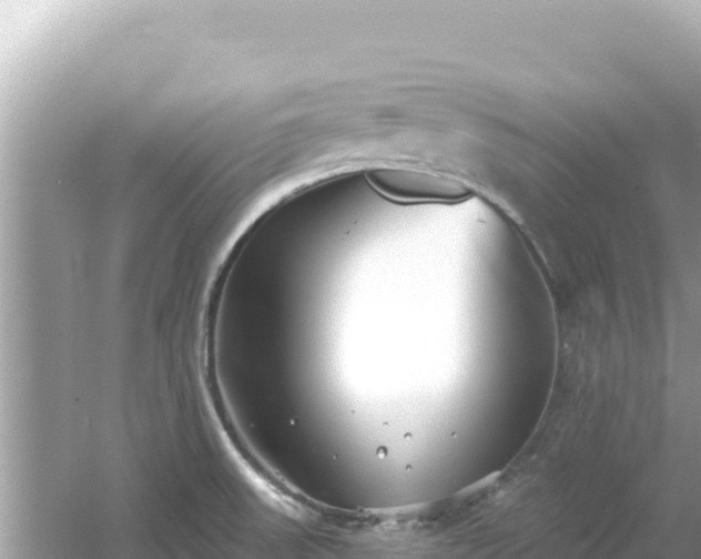 X0000054441523200508051845