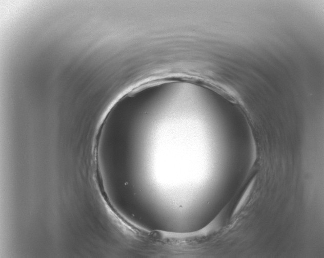 X0000054441524200508051845