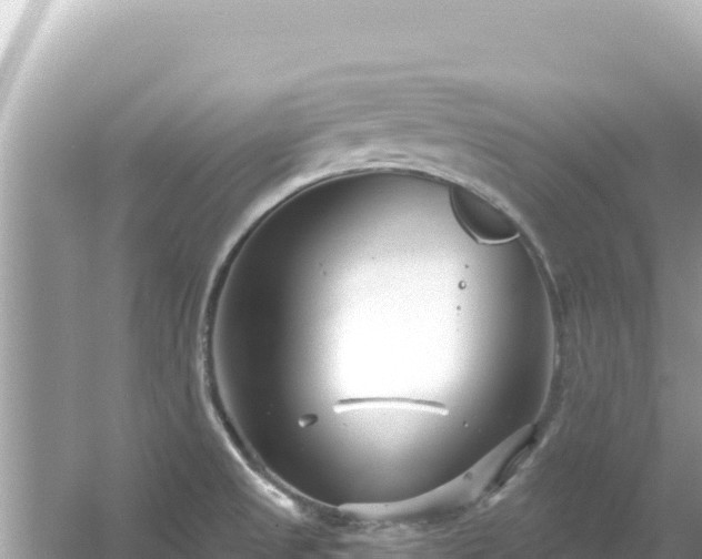 X0000054441525200508051845