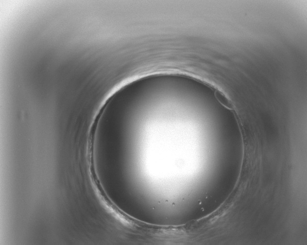 X0000054441526200508051845