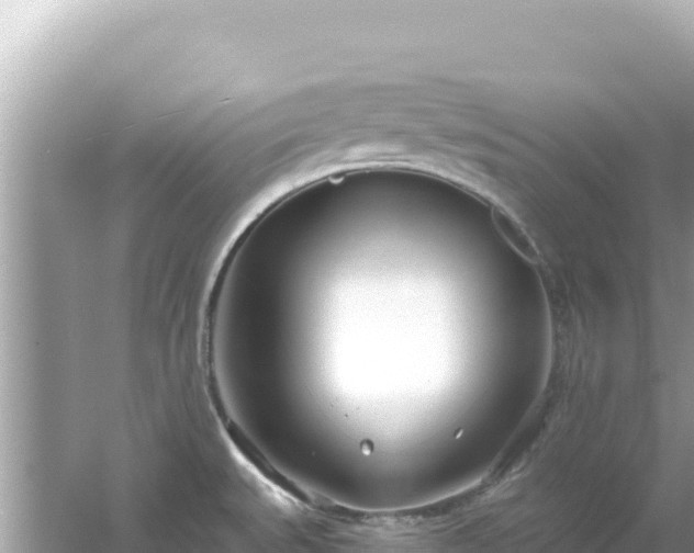 X0000054441527200508051845