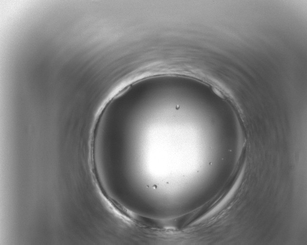 X0000054441528200508051845