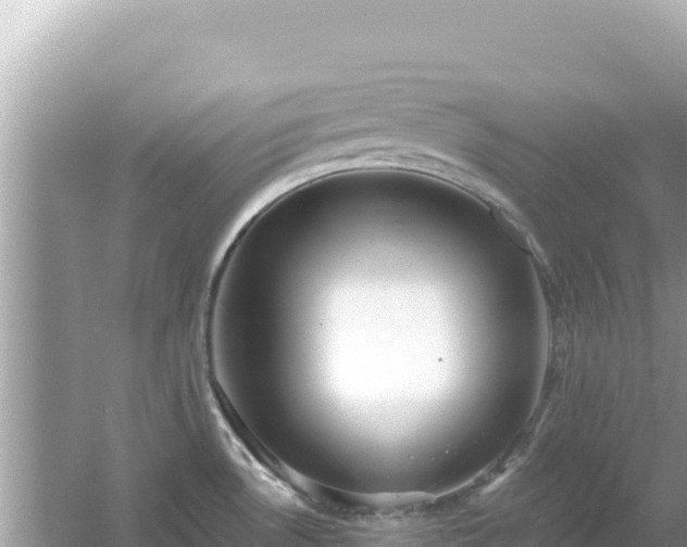 X0000054441530200508051845