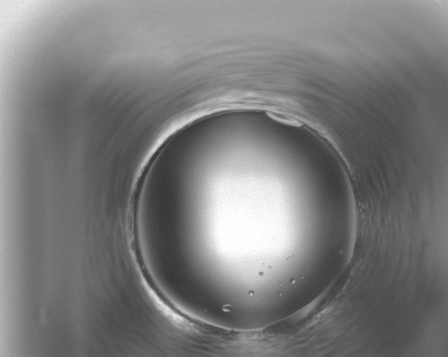 X0000054441531200508051845