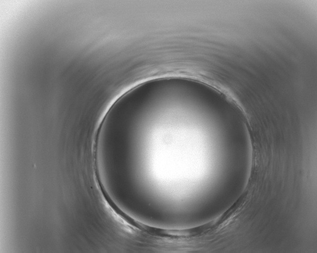 X0000054441532200508051845