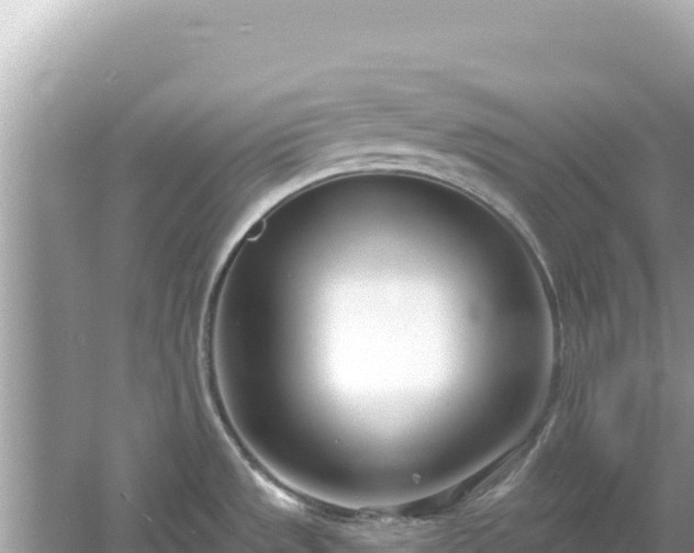 X0000054441533200508051845