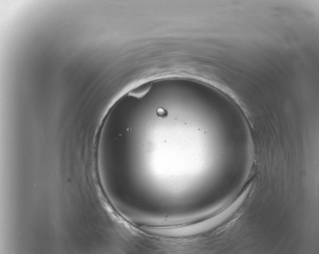 X0000054441534200508051846