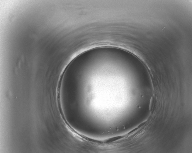 X0000054441535200508051846