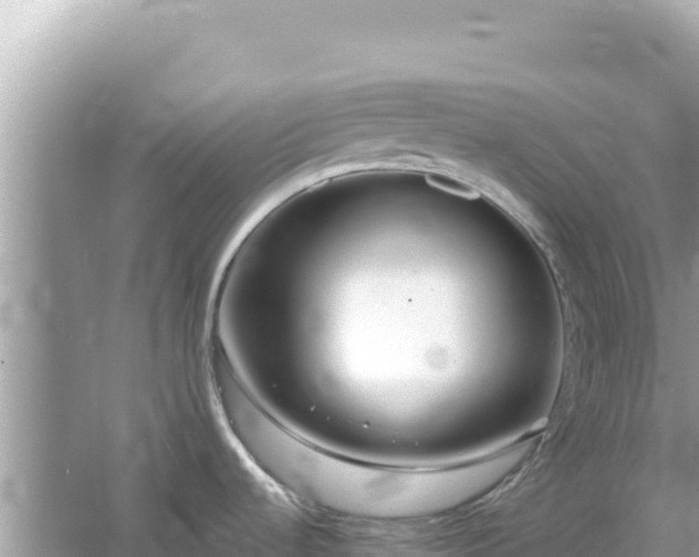 X0000054441536200508051846