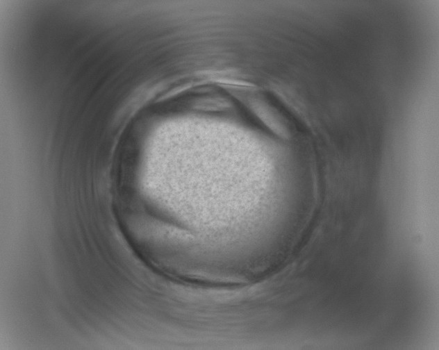 X0000054440002200508121857