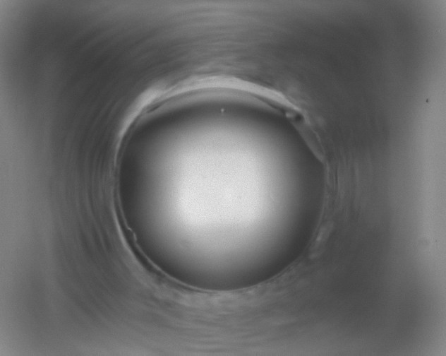 X0000054440003200508121857