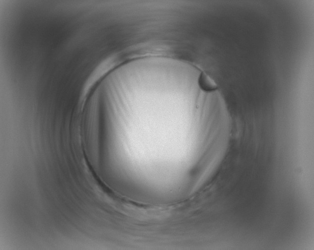 X0000054440004200508121857