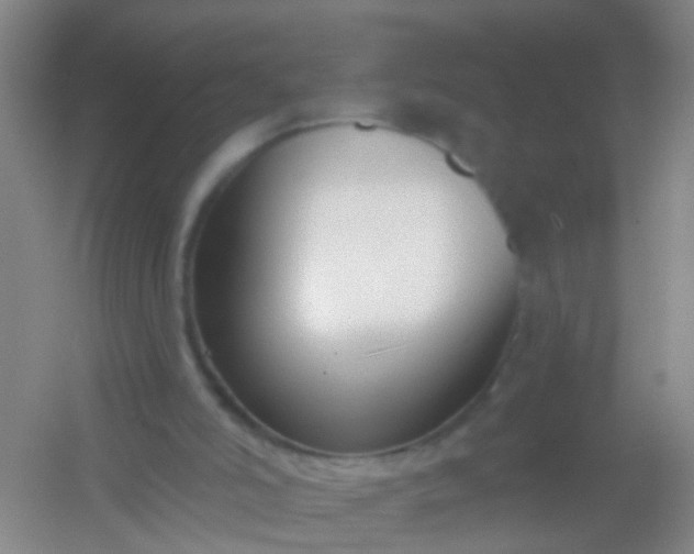 X0000054440006200508121857