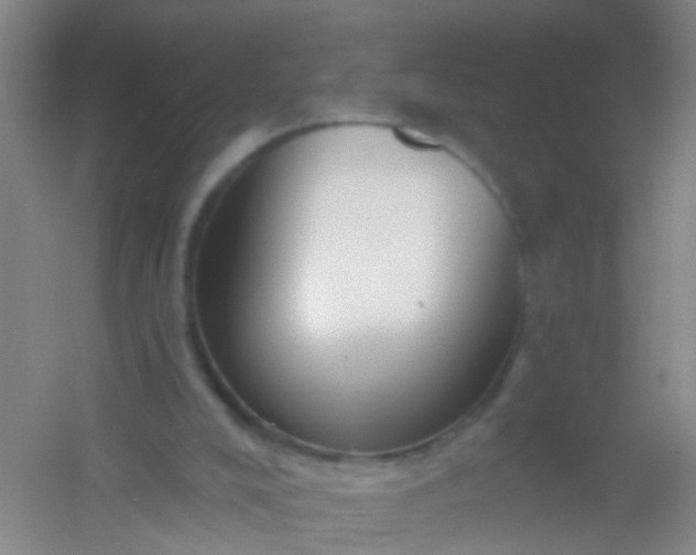 X0000054440008200508121857