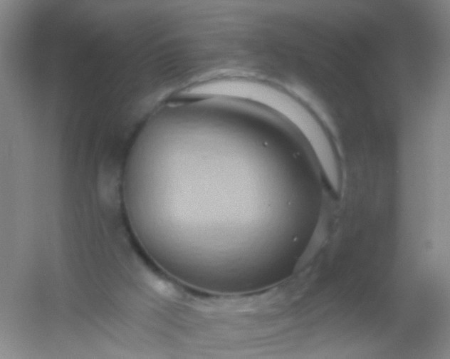 X0000054440009200508121857