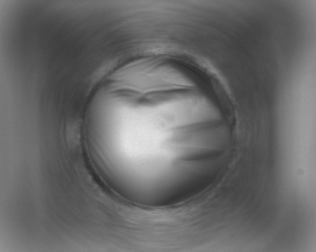 X0000054440010200508121857