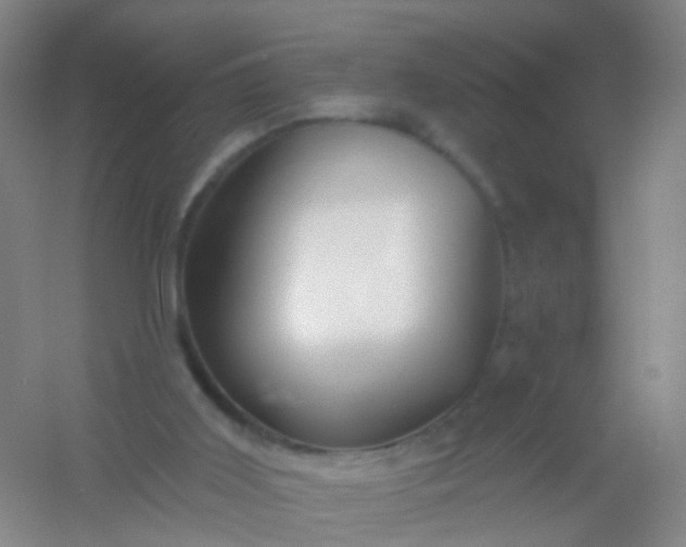 X0000054440011200508121856