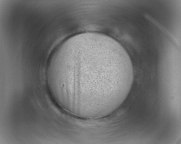 X0000054440012200508121856